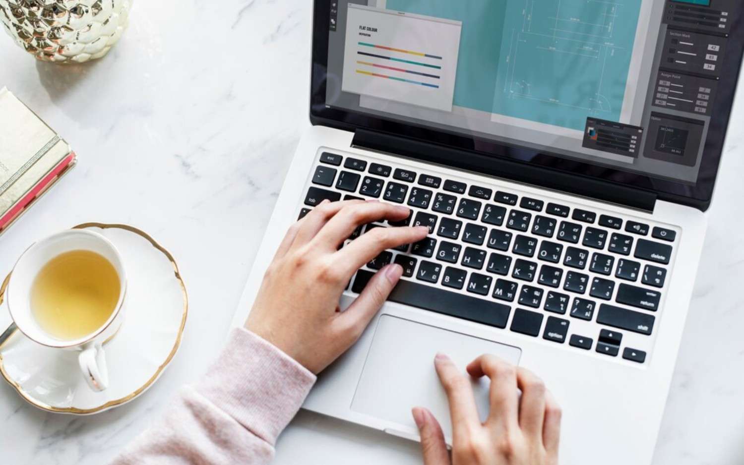 WordPress development remote internship program for beginners
