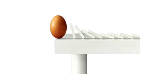 image-removebg-preview (3)