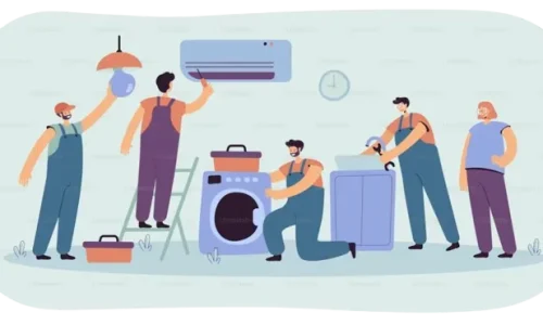 pic_2-removebg-preview